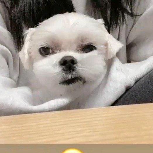 难得呀
