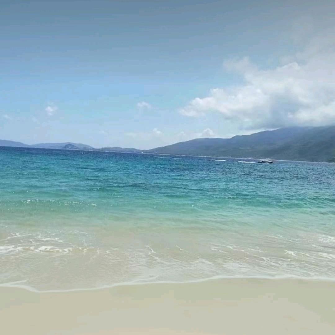 维夏