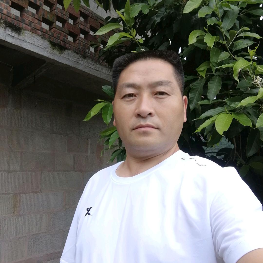聪哥