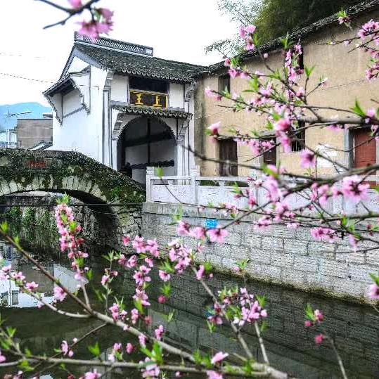 忆.江南