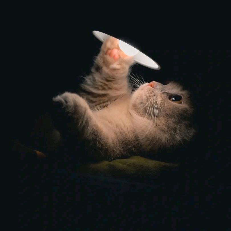 迷