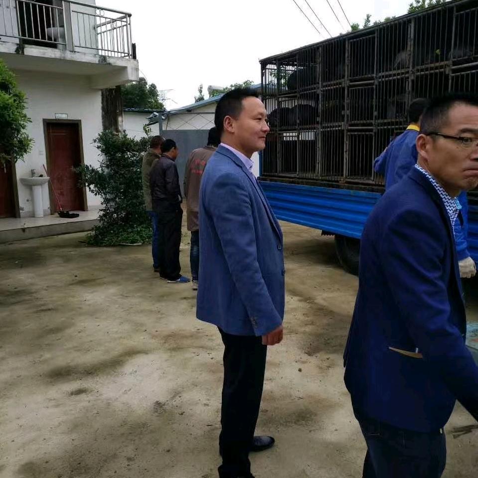瑞艺种猪精益求精、宁缺毋滥