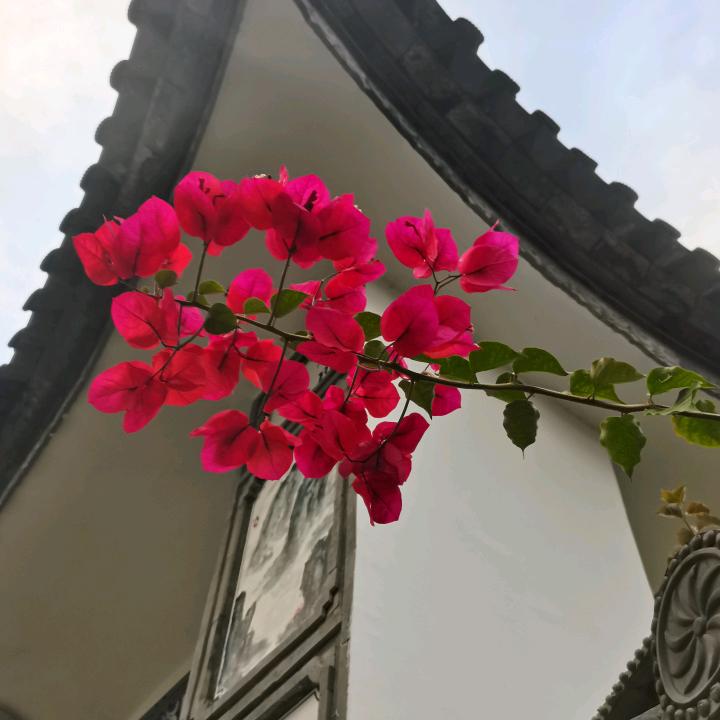 舌尖上的纳西阿布