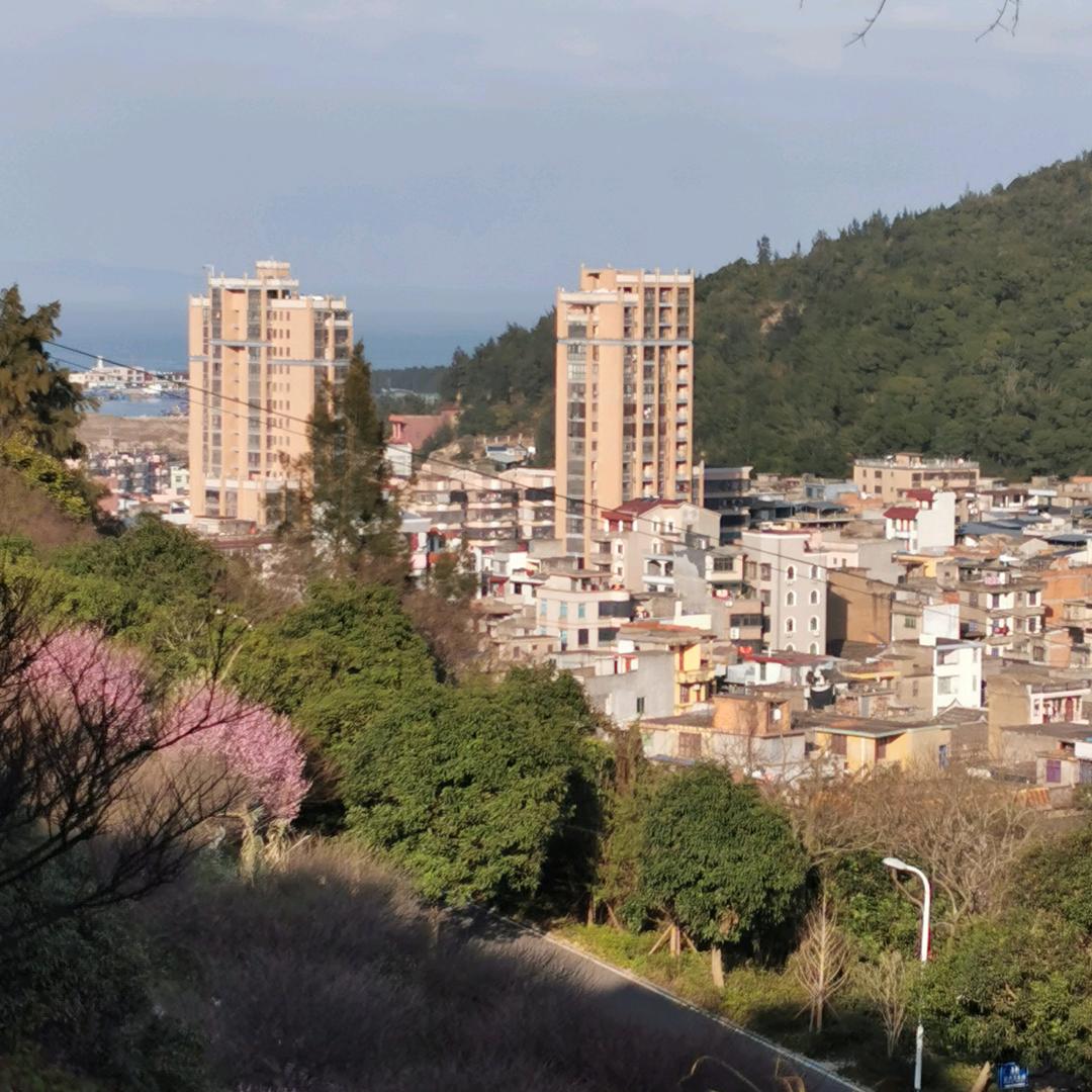 新梅花
