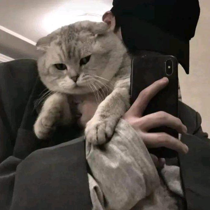 L诚