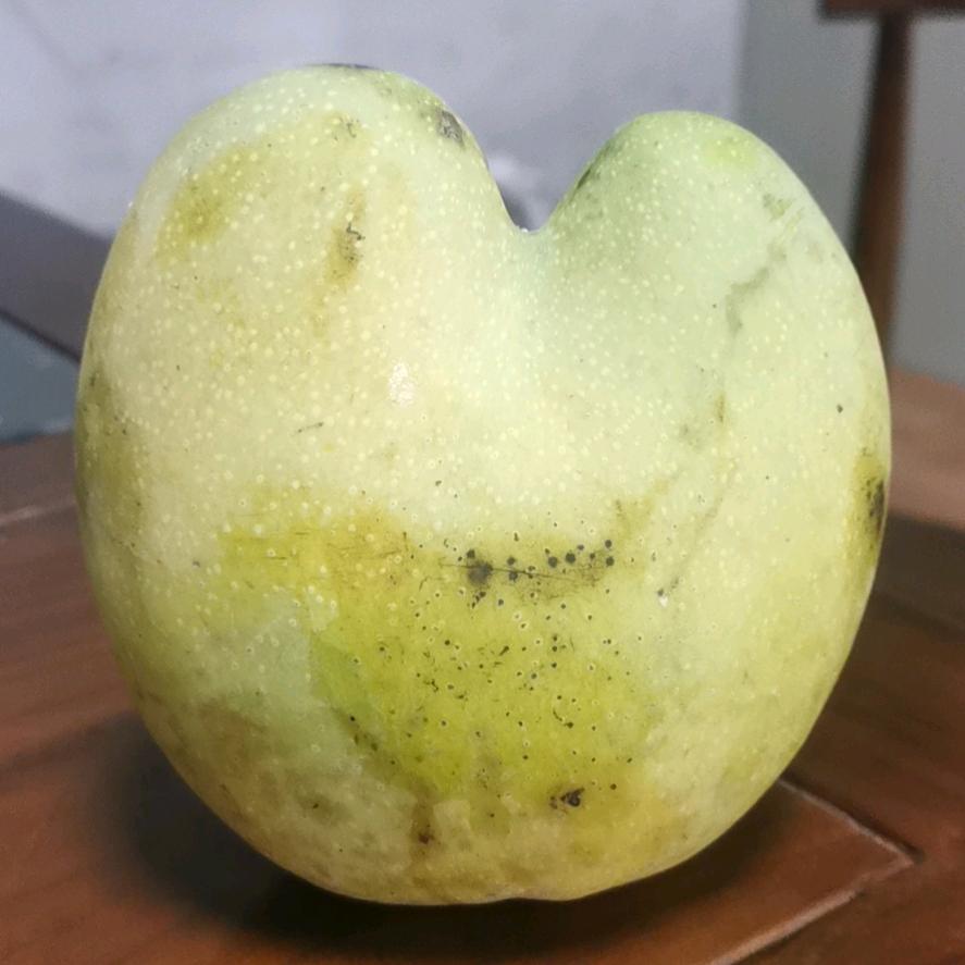 立兴宏