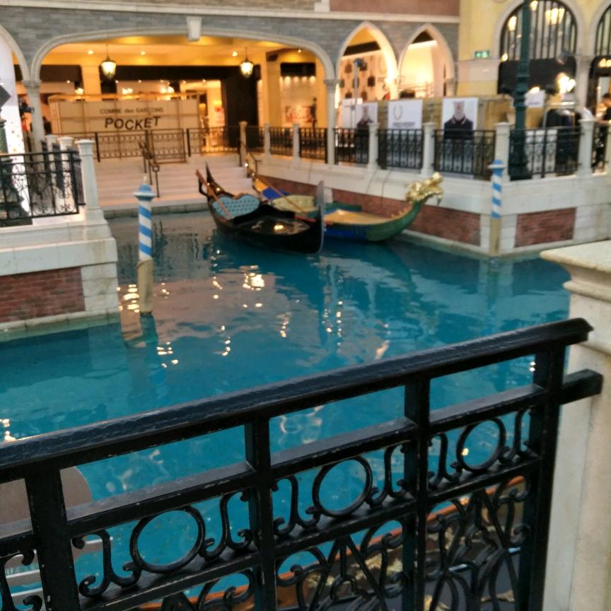 云南燕子生猪调运