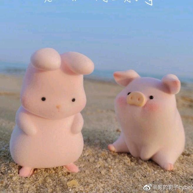 嗷！你又见王晋了