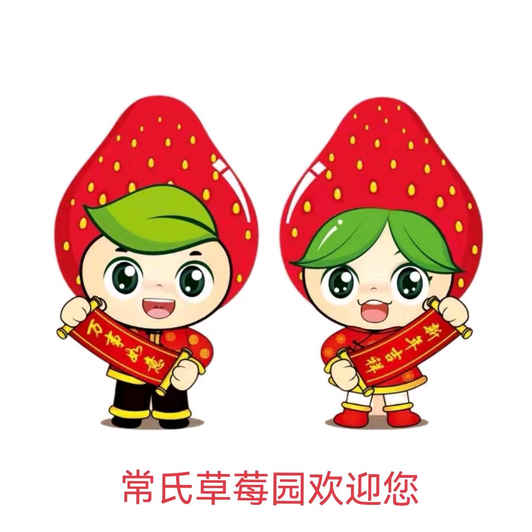 草莓届的扛把子