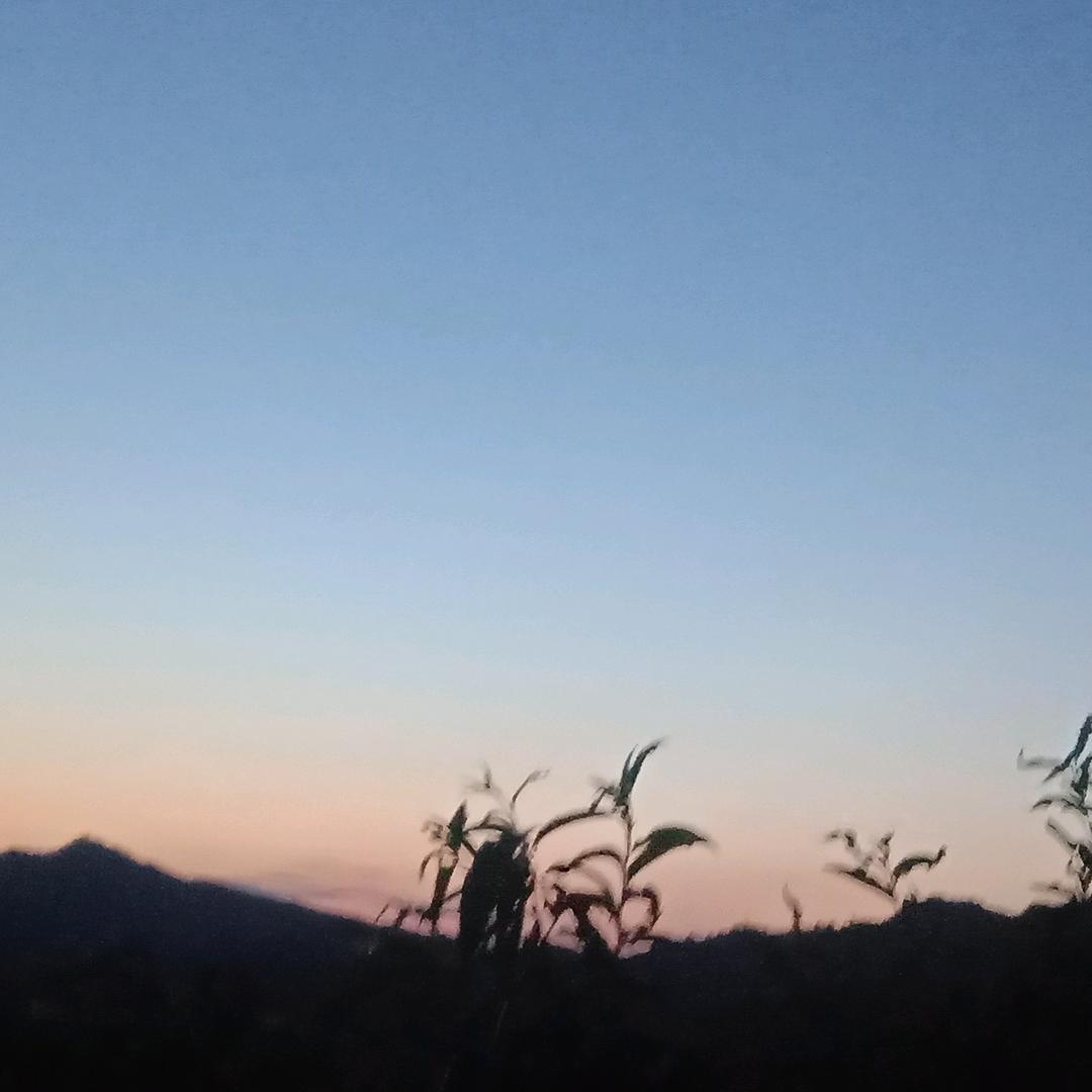王奋斗