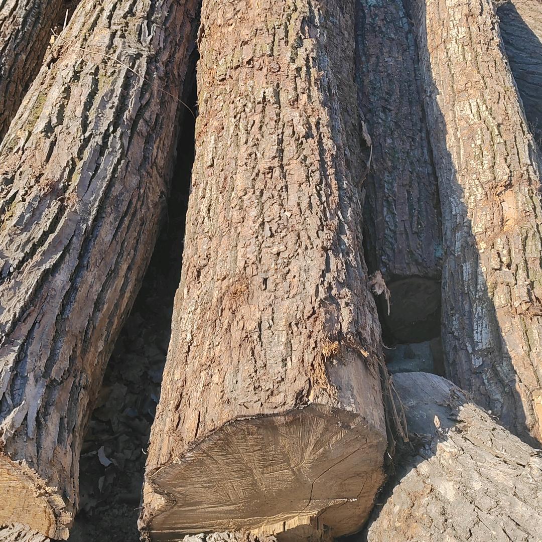 怡宸木业国产核桃木