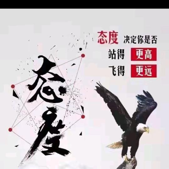 秋枫叶7160