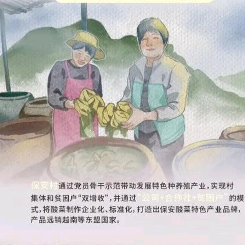 酸菜姐