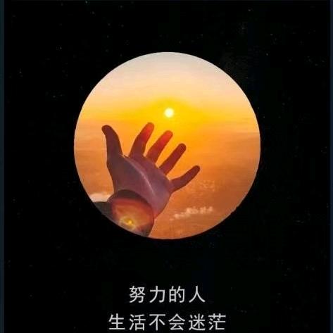 国际庄安子