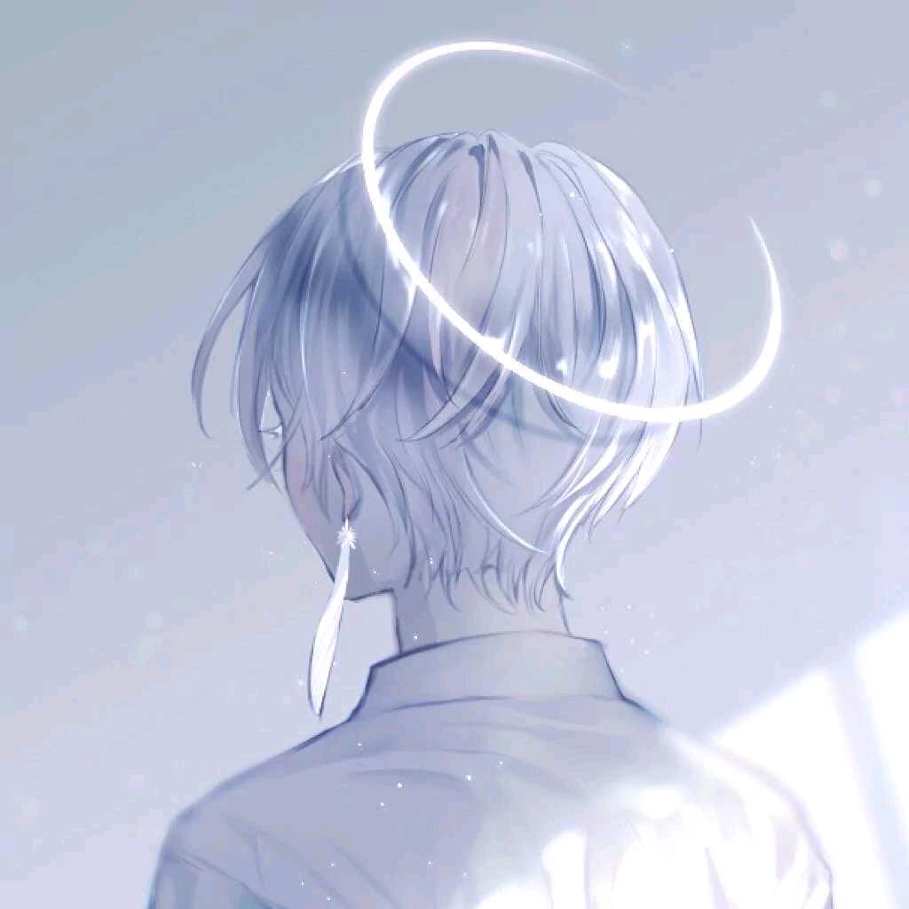 青春喂了作业