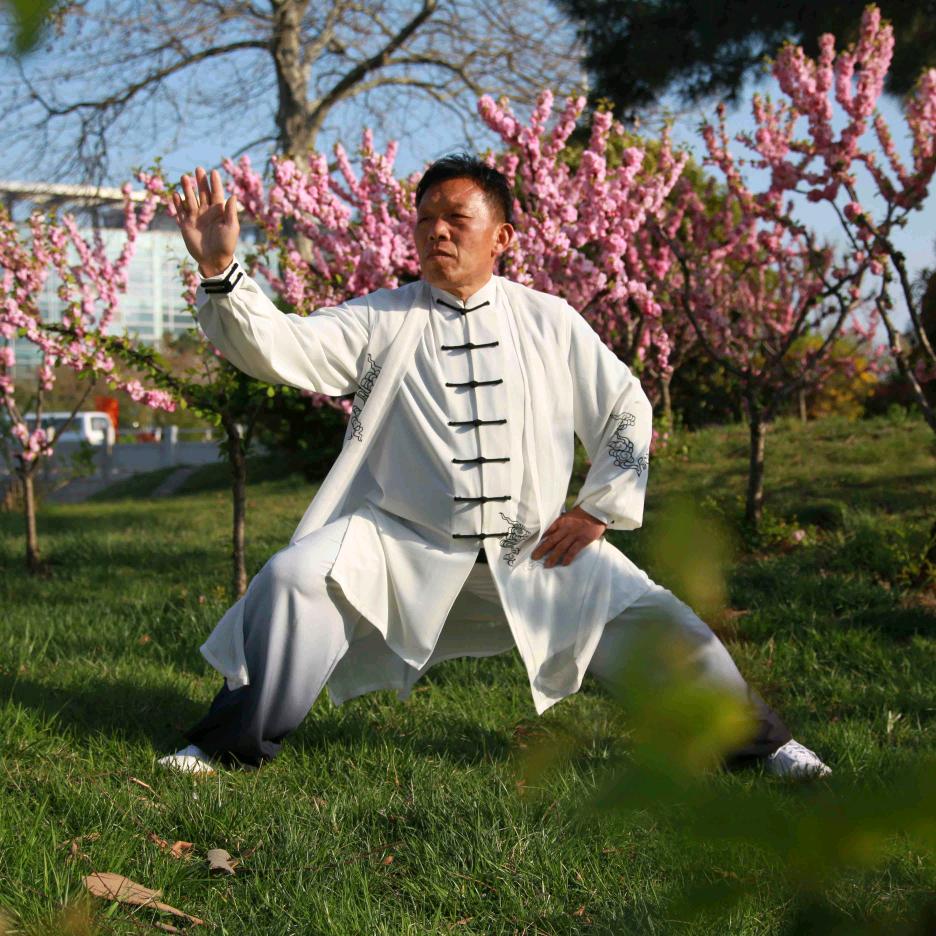 陈式太极拳十一代传人王双全