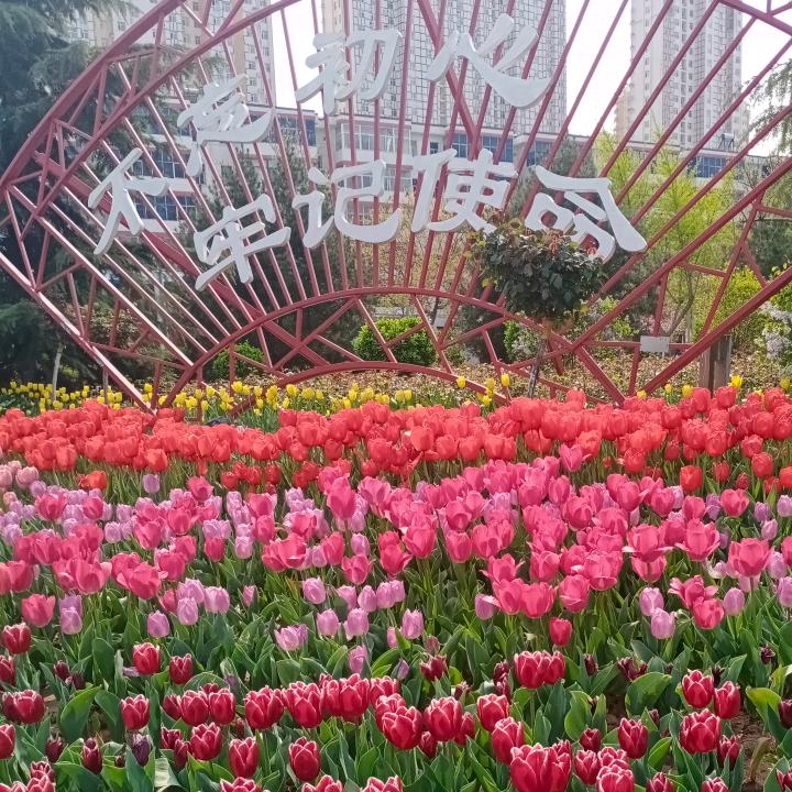 把你当成手里的宝。