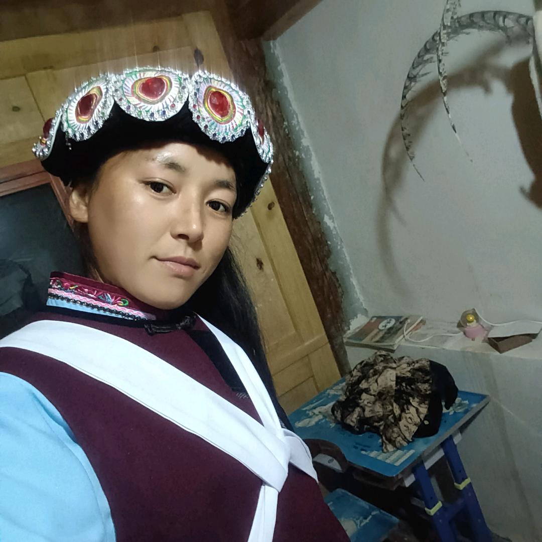 建琴