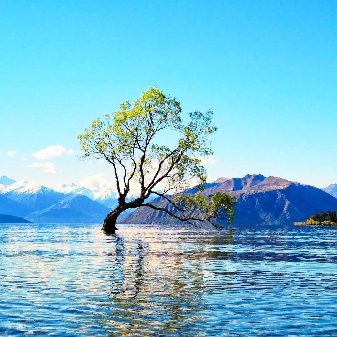 一个人的世界！