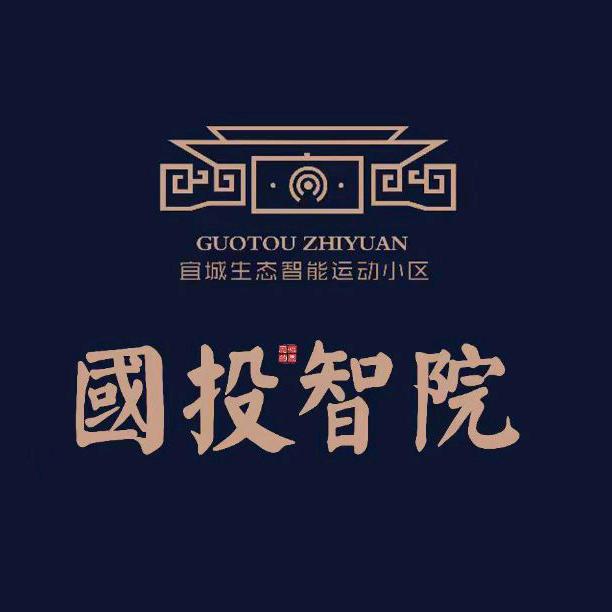 国投智院