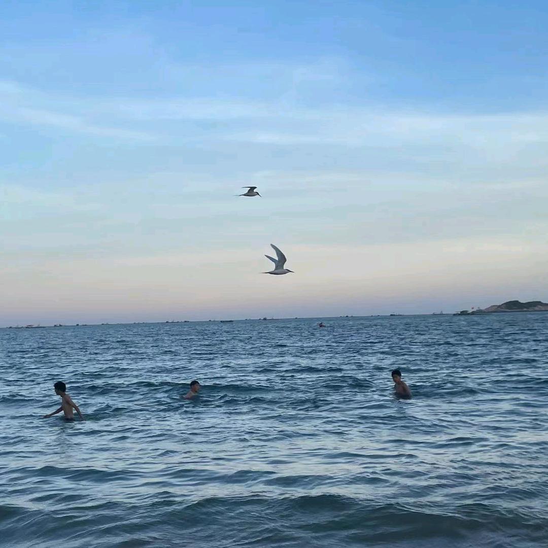 潮州粮油配送
