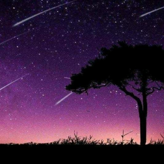 二哥地锅鸡自助地摊烤肉官方号