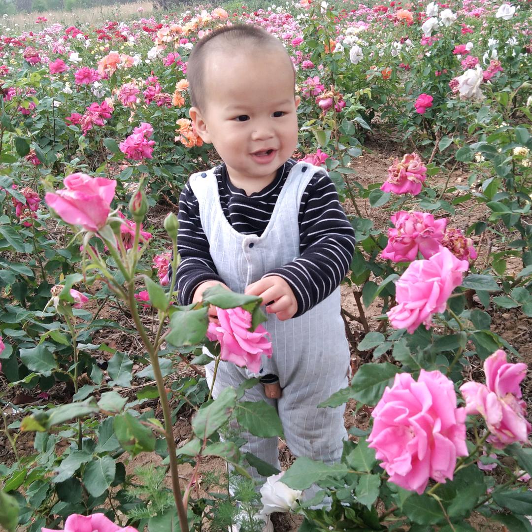 辣妹儿宝贝鑫鑫