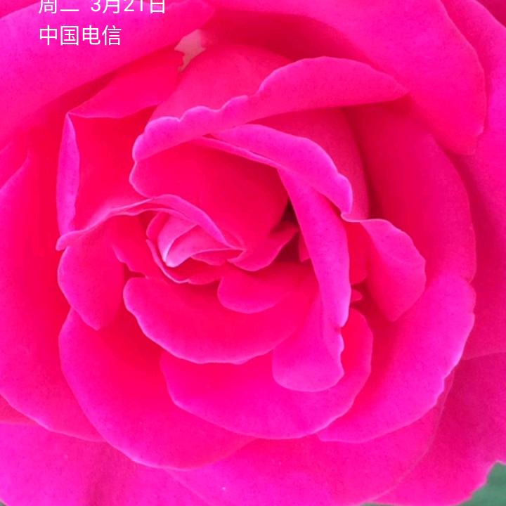 美天快快乐乐　　   (٩(๑^o^๑)