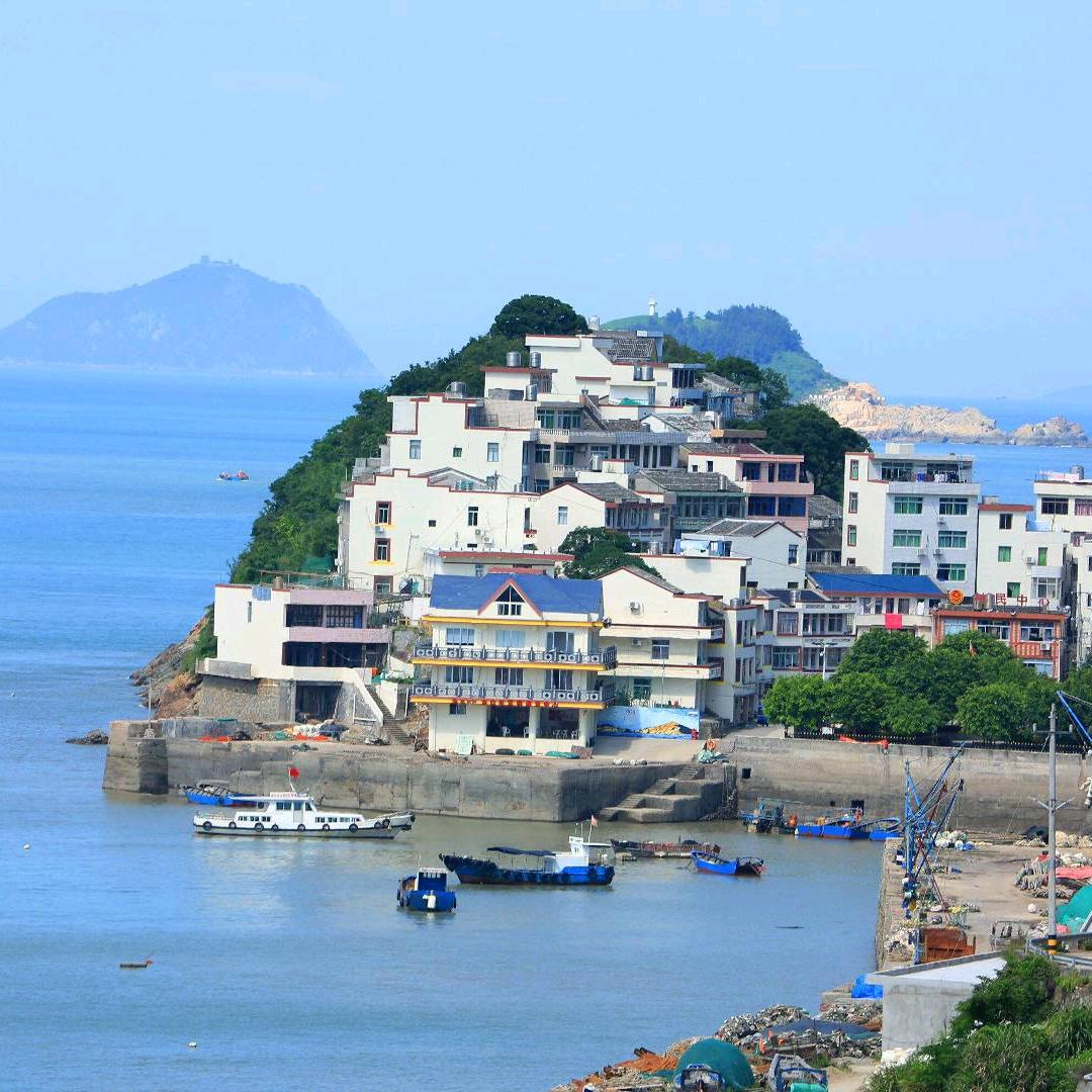 明哥拍车