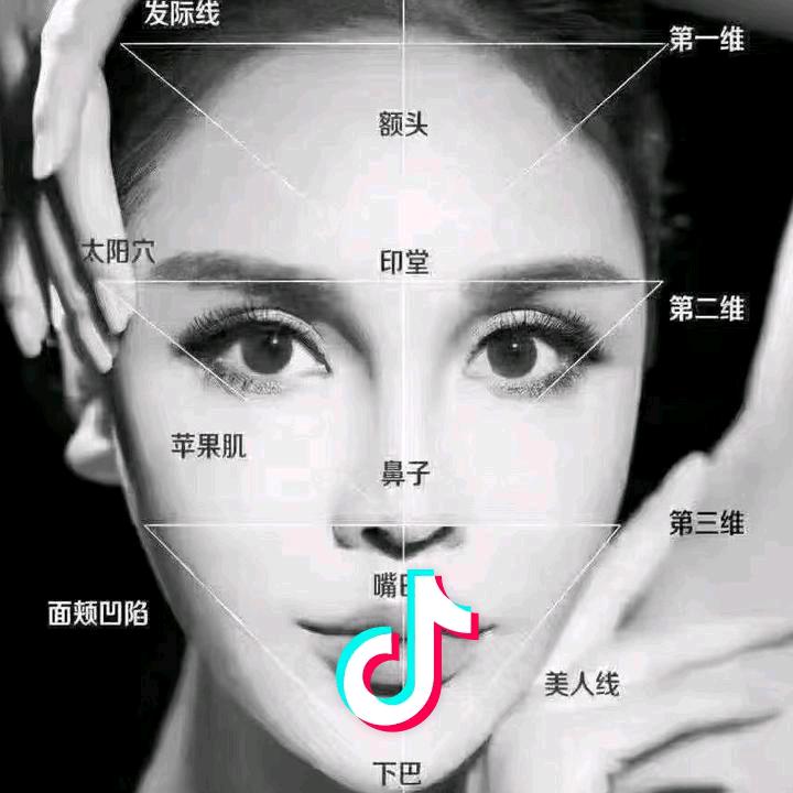 宁波上海美丽咨询