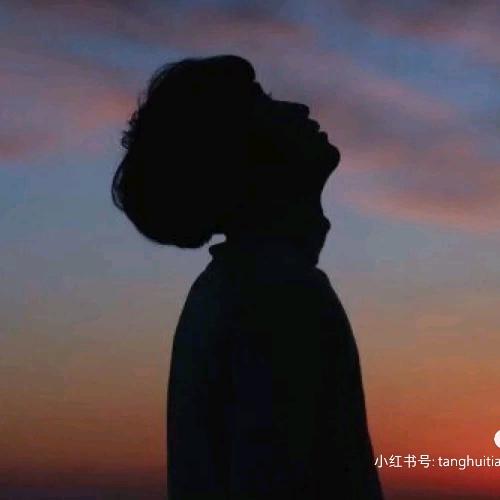 追着太阳跑… 🌞