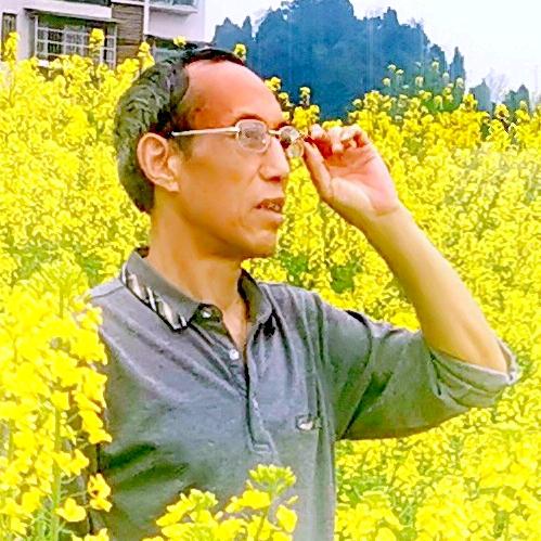 炳阳