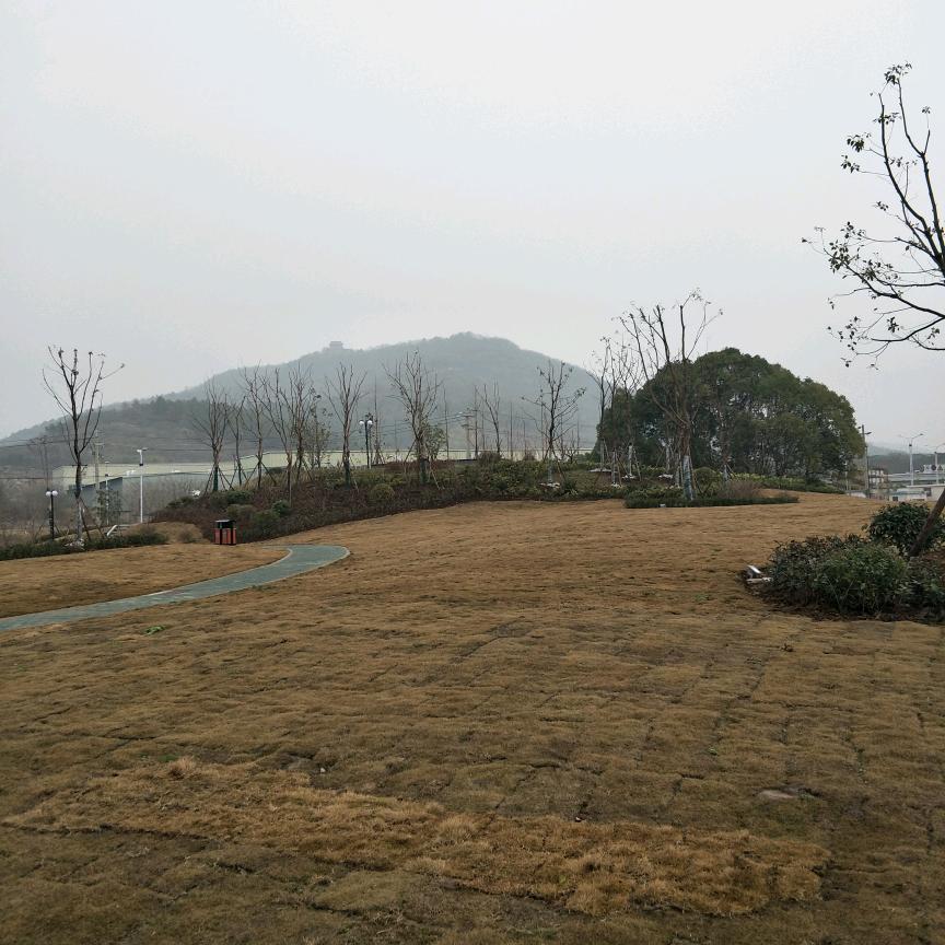 潇潇雨歇