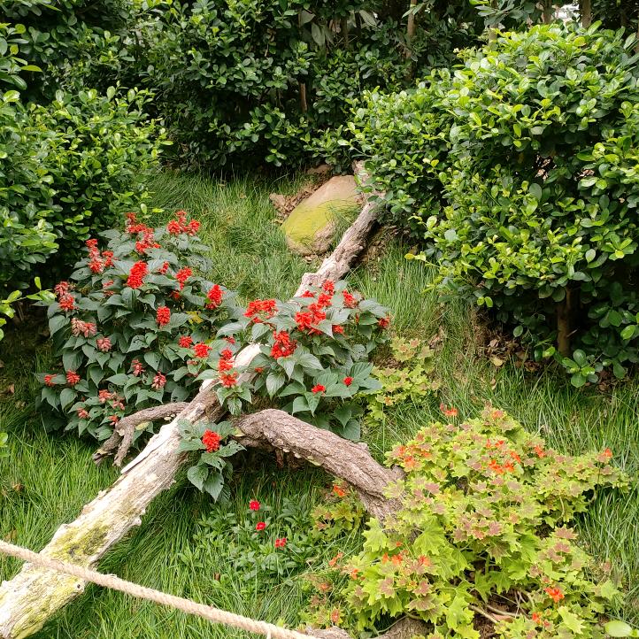 ♍️缘来是你吗