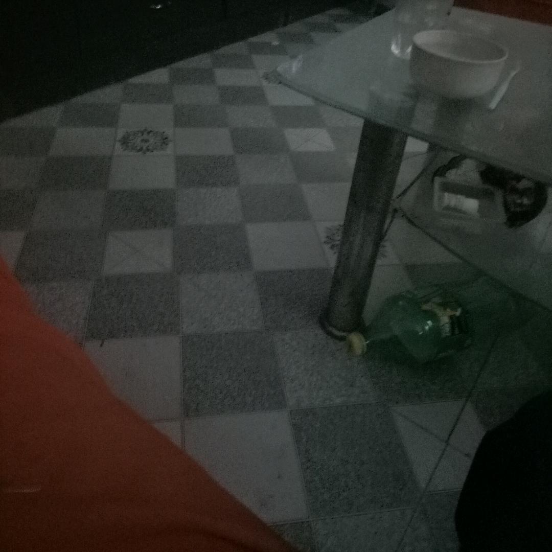 诗嘉成阳琦