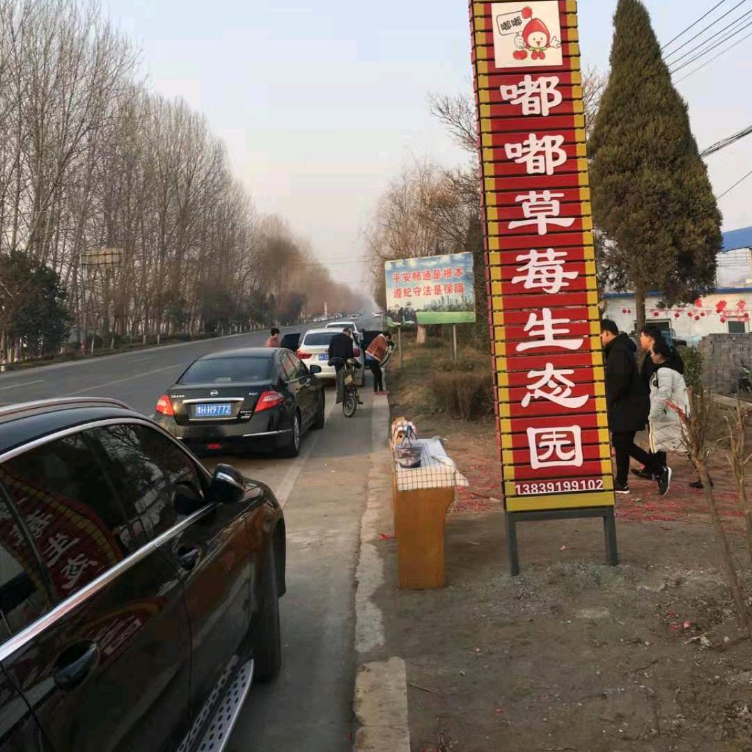沁阳市嘟嘟草莓生态家庭农场