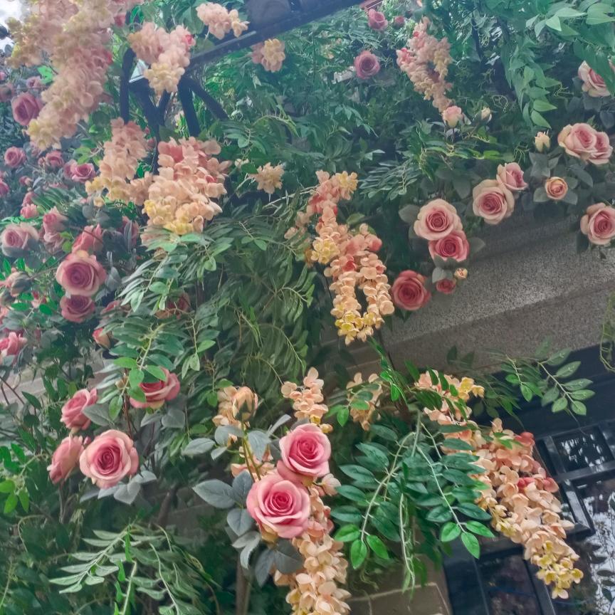 时光悄然飞逝