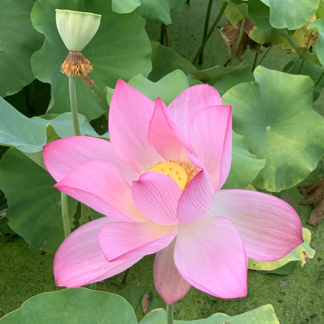 越来越好