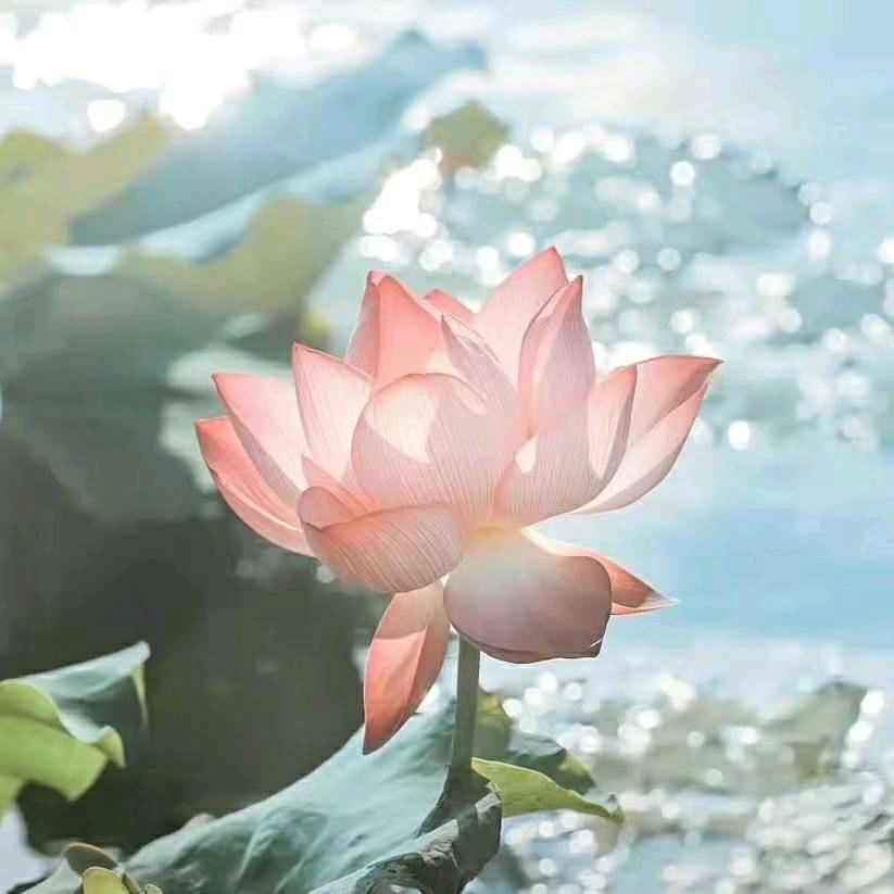 源