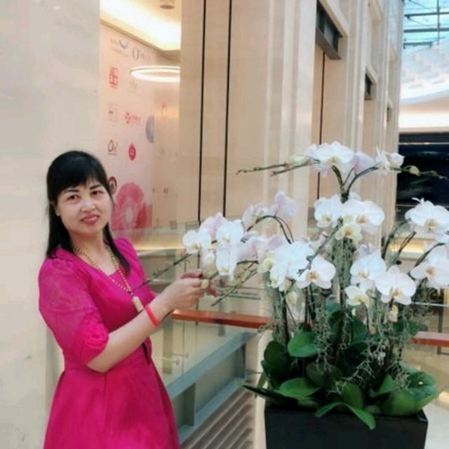 随缘（拒私聊）