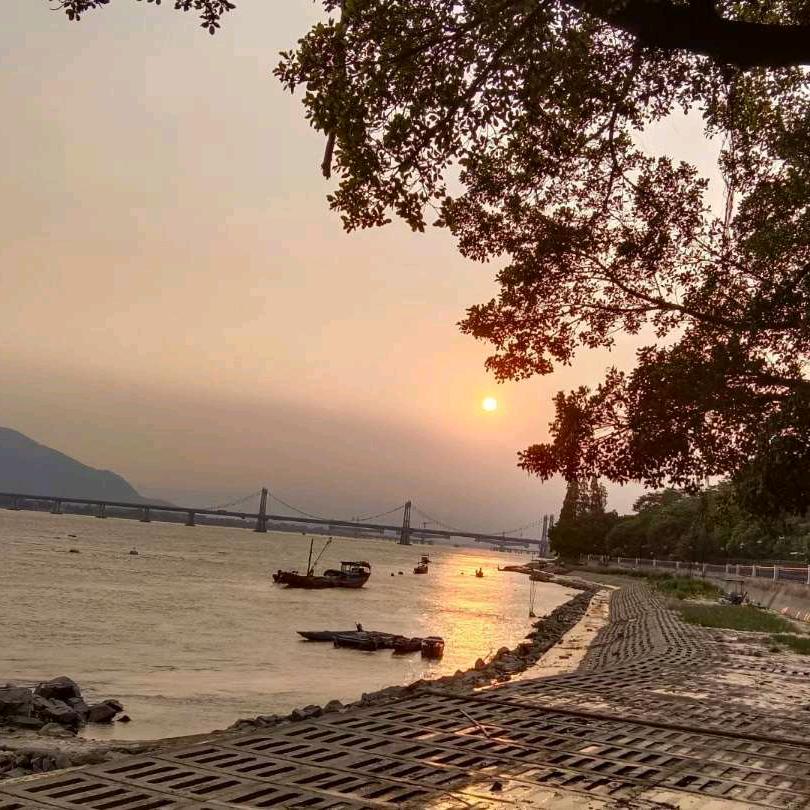 小小福荫
