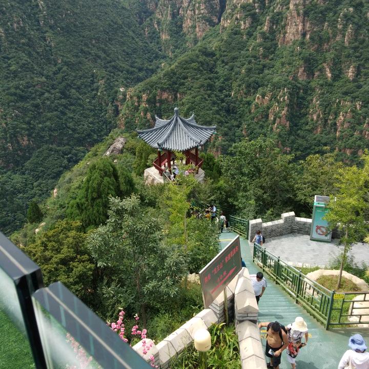 洪强，专业防水