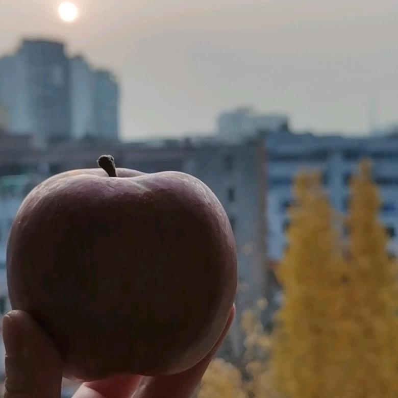 晏斌