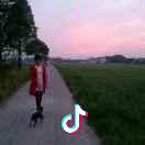 姚小凤