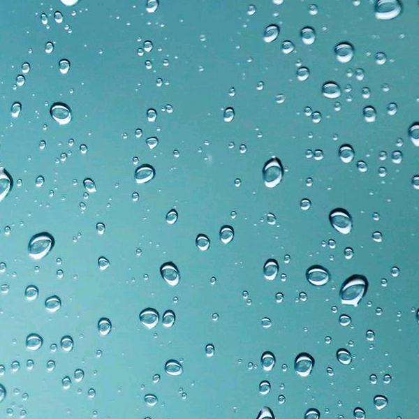 竹林雨潇33
