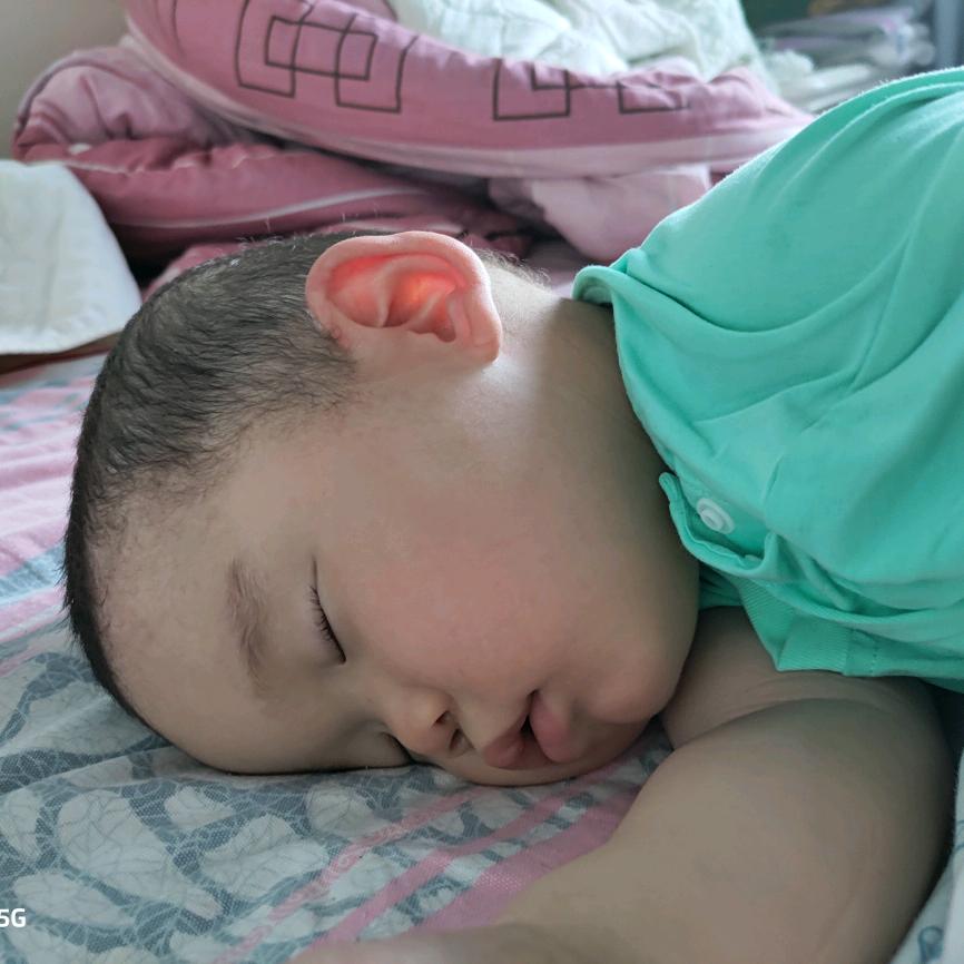 仲小蕾的大胖胖
