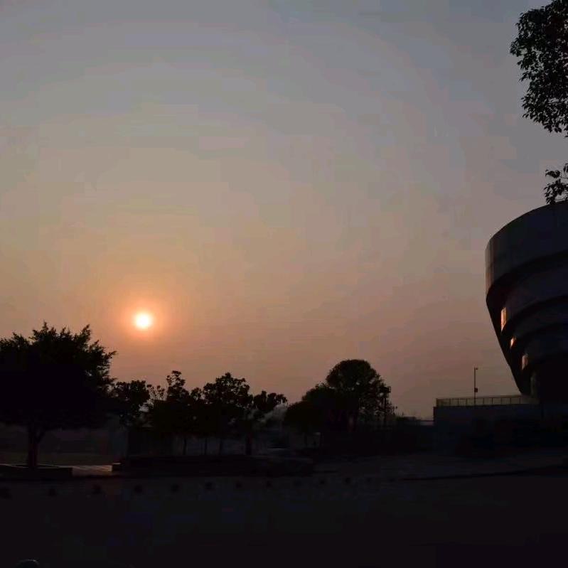 宁静De太阳族