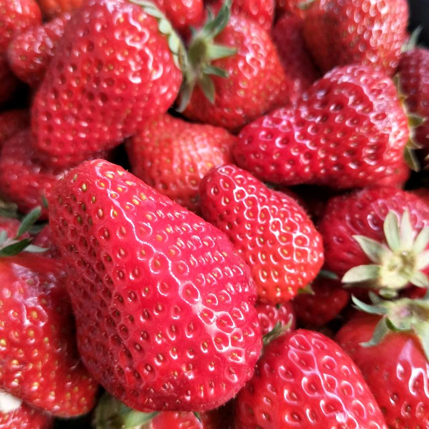 @维维草莓🍓