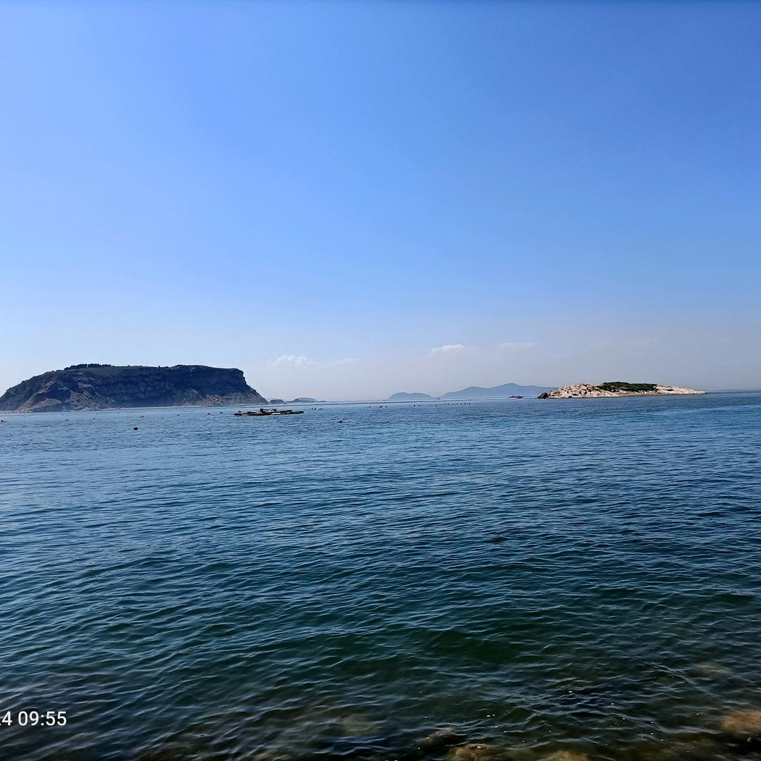 🌸此时此刻🌸