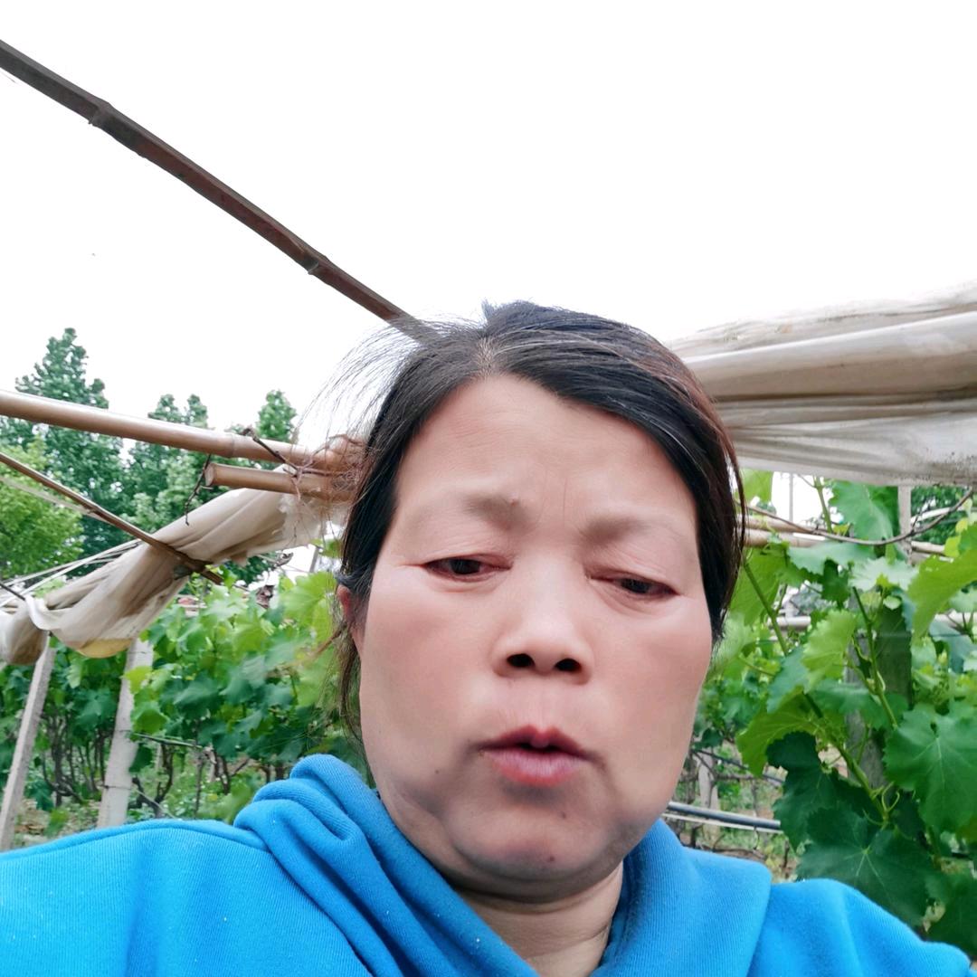 葡萄妹纸
